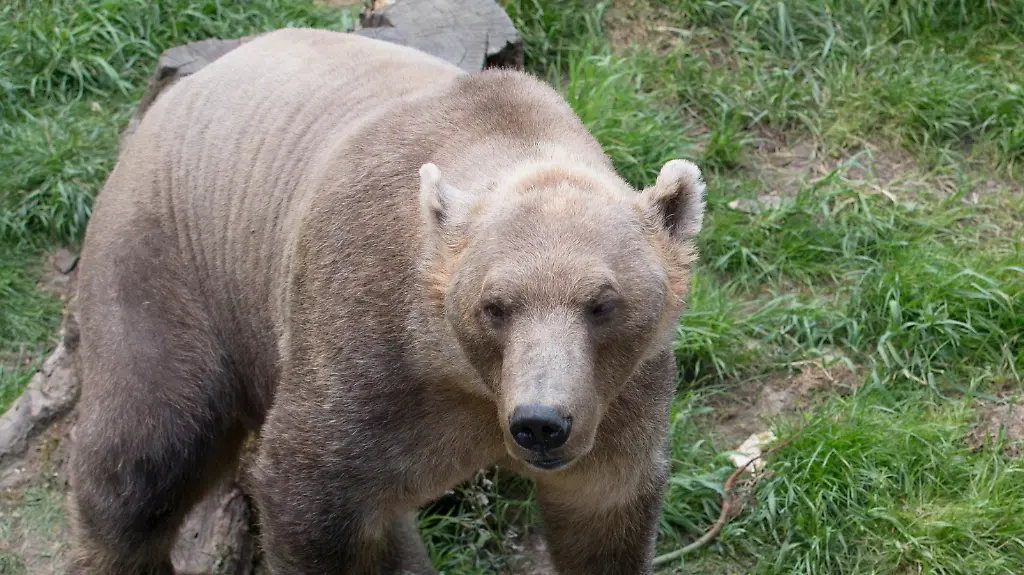 5fcc80a06956876acee6d4fc88a46bbb