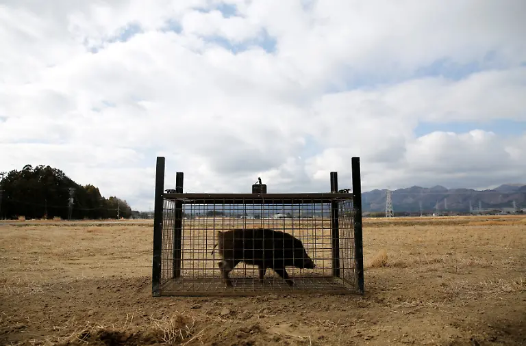 3b0882b8804c1ef92aabbe398c199e5b