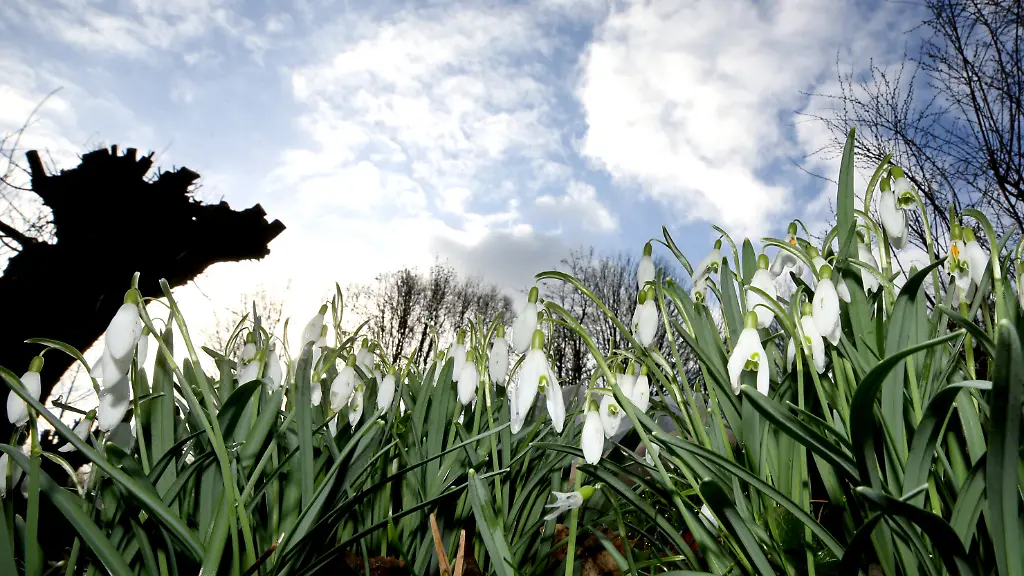 4fa3bfc4432def3e60f002ca69fc714a