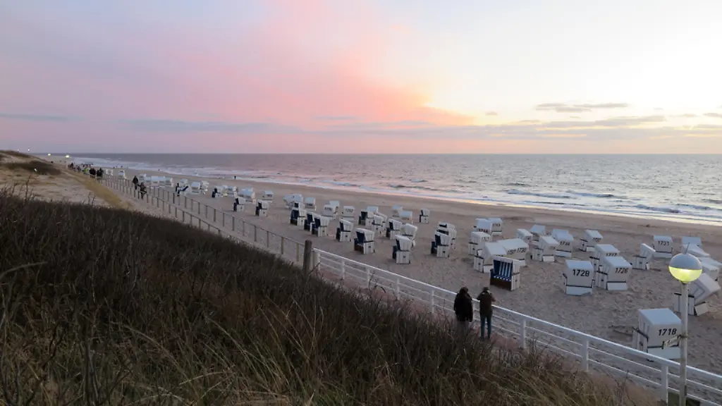 Nur-im-Zusammenhang-mit-dem-genannten-Text