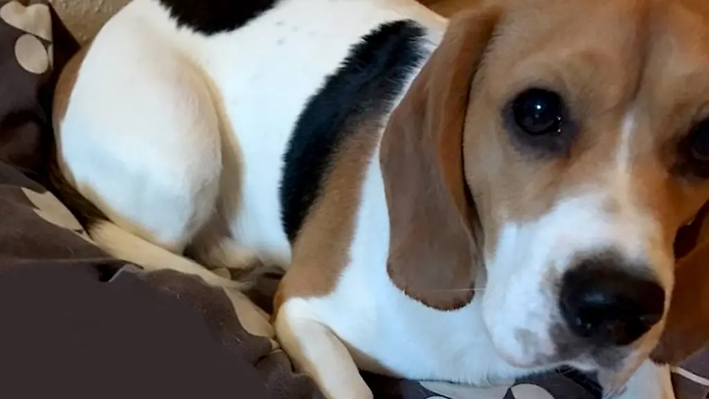 b4a84320b1d8b0c7173b18639c7450cb