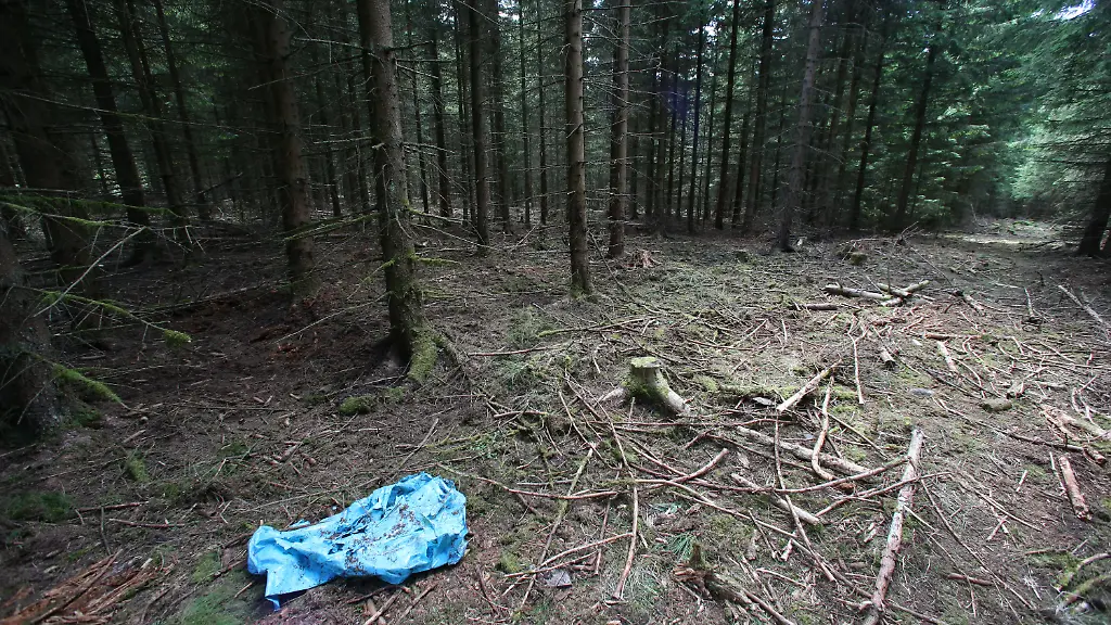 46d25d3eda9be184df06800ac66038df