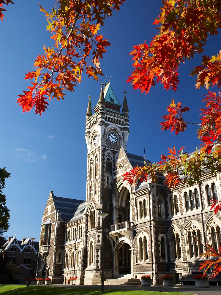 Die Universität von Dunedin erinnert mit ihren verspielten Gebäuden aus Basalt und Kalkstein, den Schattenplätzen unter mächtigen Bäumen und dem plätschernden Bach an englische Universitätsstädte.