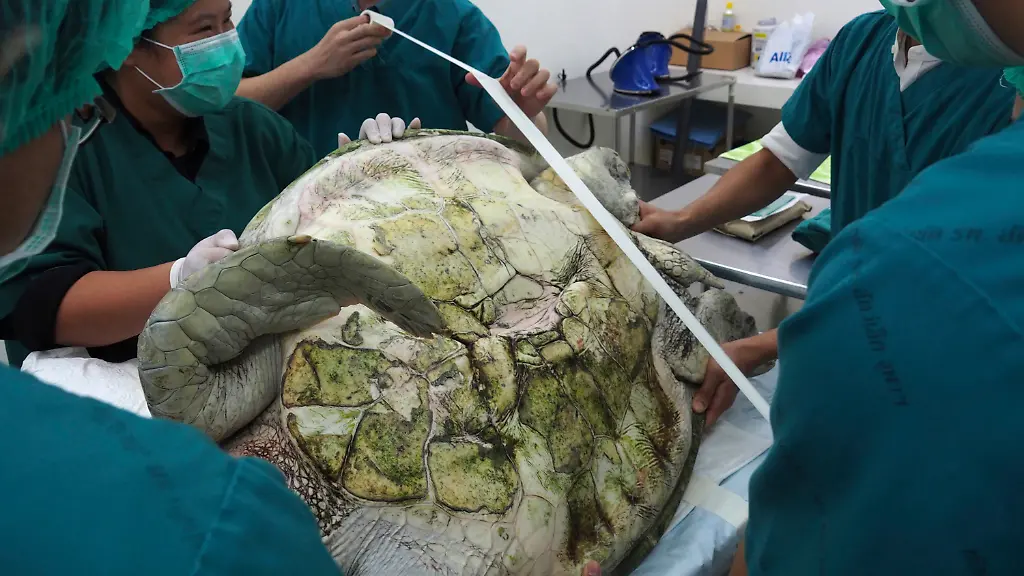 ed10216f5b846a0c69111f2f8635626b