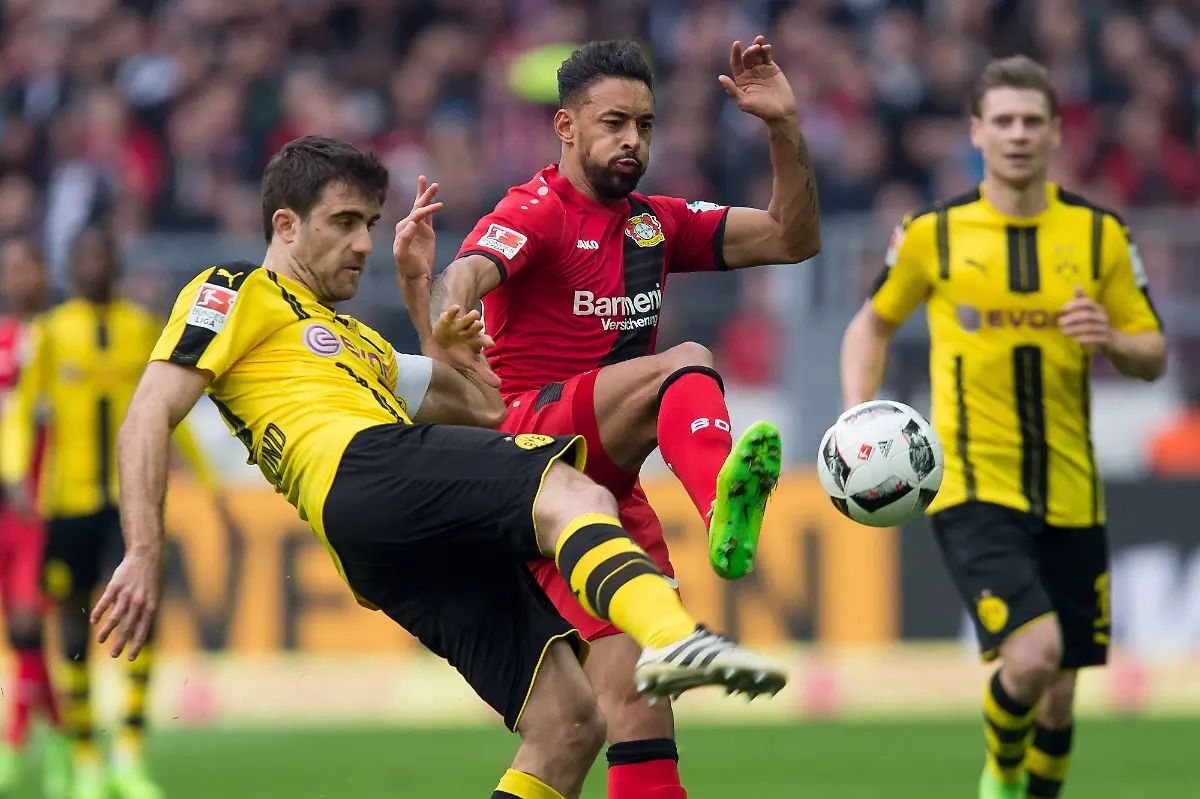 29b233a335dcf28dfc3c6af6422441ab