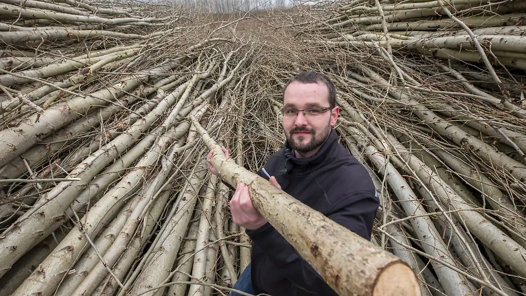 bdc092f454b847131c970675260499f4