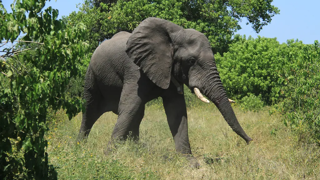 0da9a1fc50117cd8e0886eb603d996aa