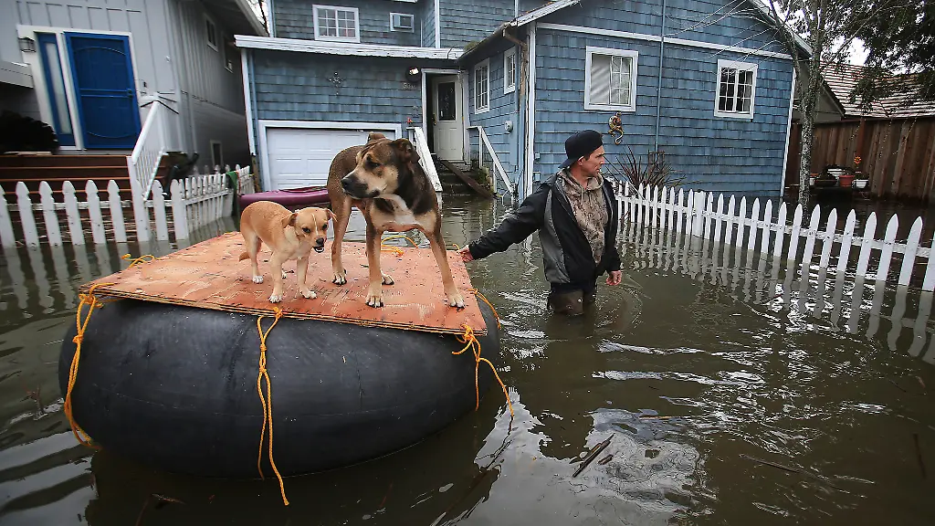 8395615492982a64df3ca8af2073abc5