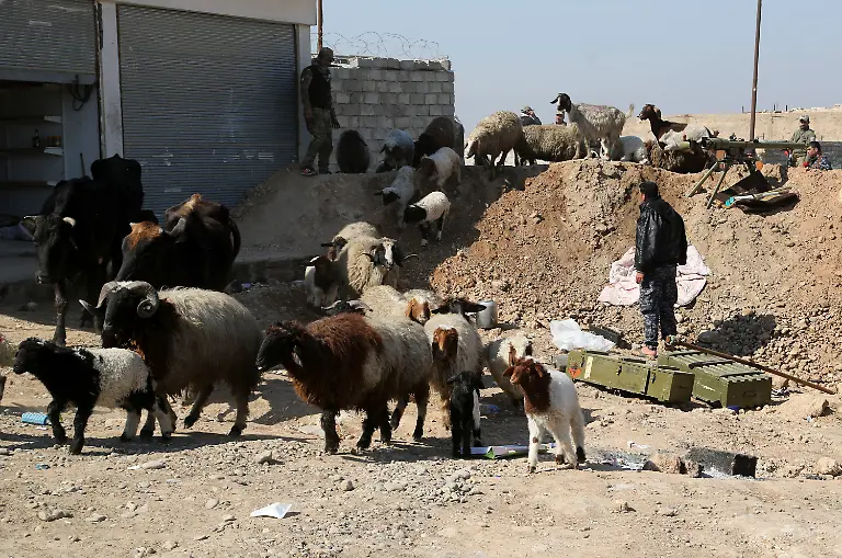 e2353598fb944c5fbe4e004181a0de4c