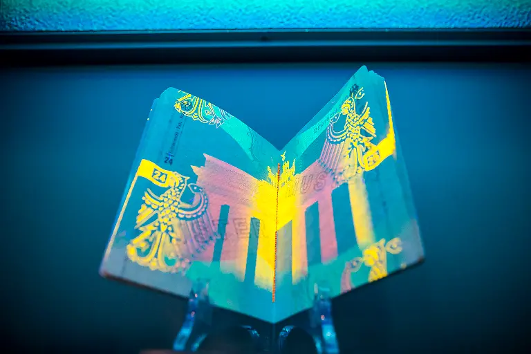 2c7031b02c369fa8e29df11e0812747d