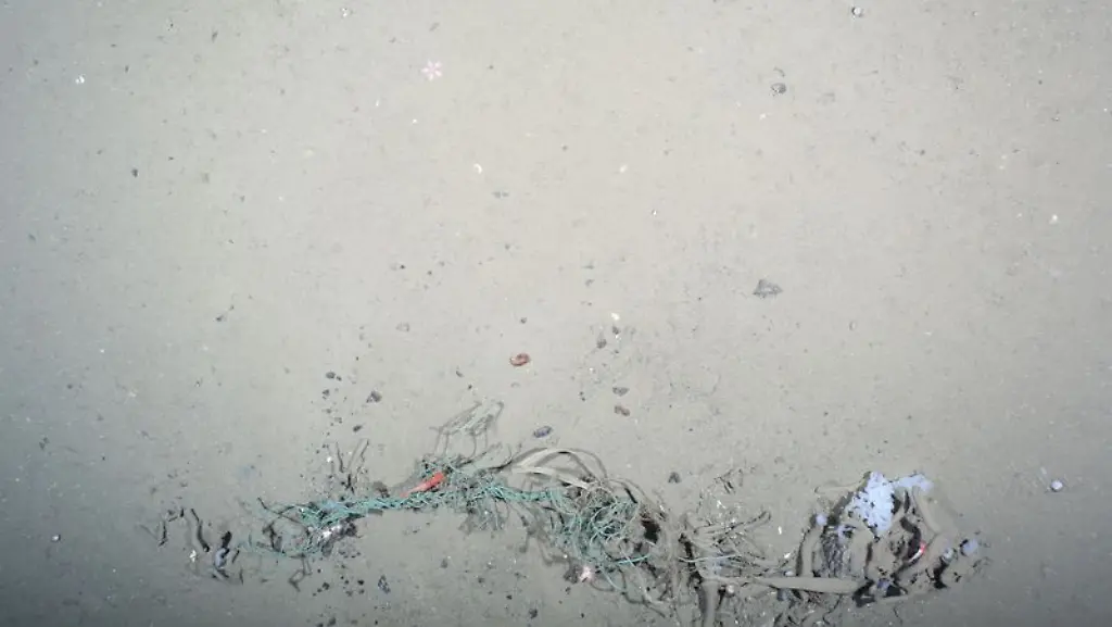 Darf-nur-fuer-die-Berichterstattung-ueber-das-Alfred-Wegener-Instituts-verwendet-werden