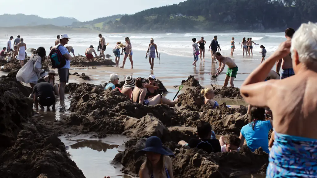 Nur-im-Zusammenhang-mit-dem-genannten-Text