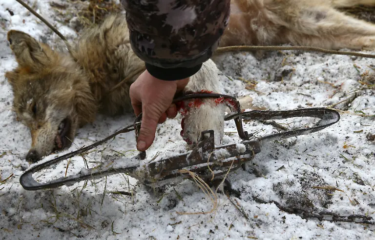 ffe7a7f5b25399573064f3e6ba7d6087