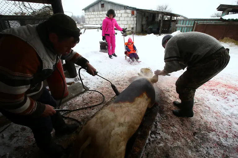 159553359e539d44d2bbbfca2351571b