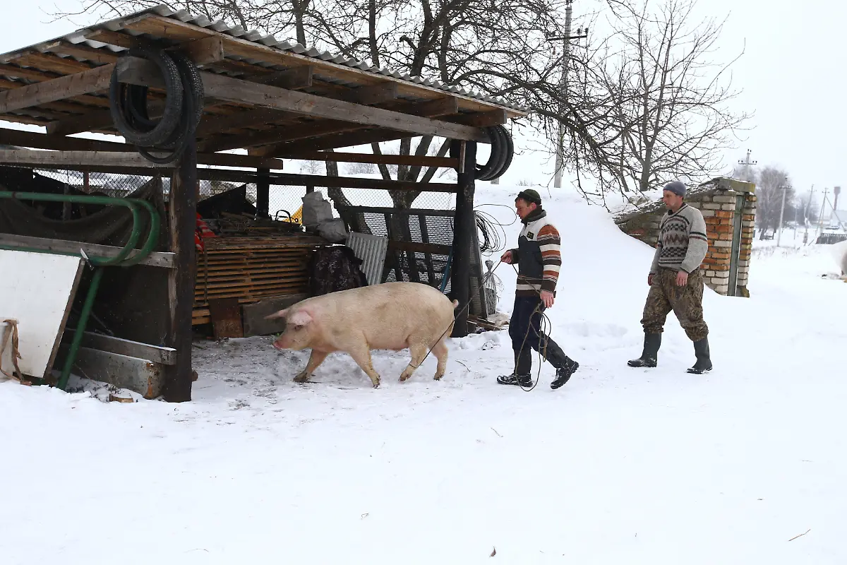 965ed55f8bc526ca54edff8c9cd1088c