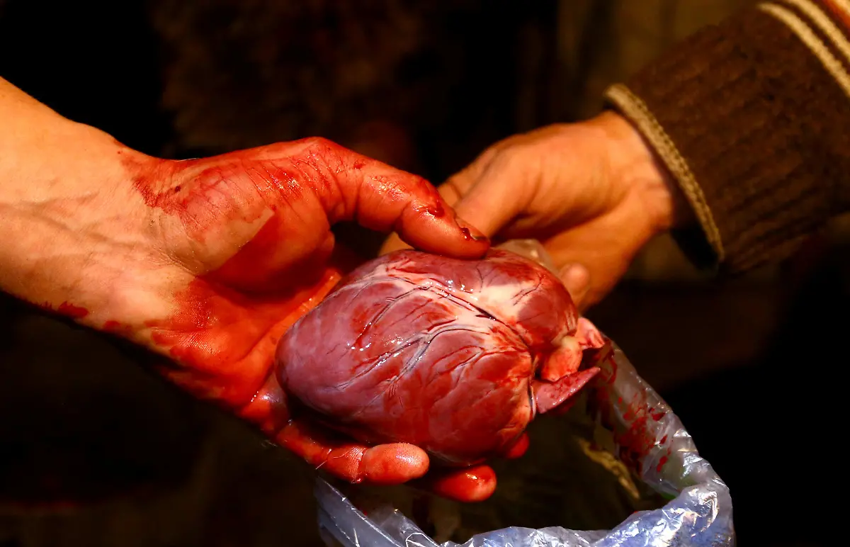 8c76af47fead3ab40aa6464d90afbe89