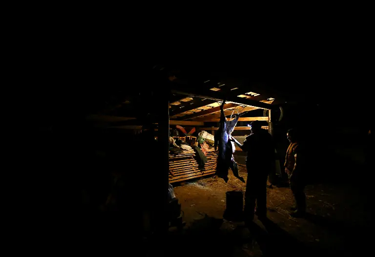 938ed8d9cf8b0688cb2609a0da0e32f6