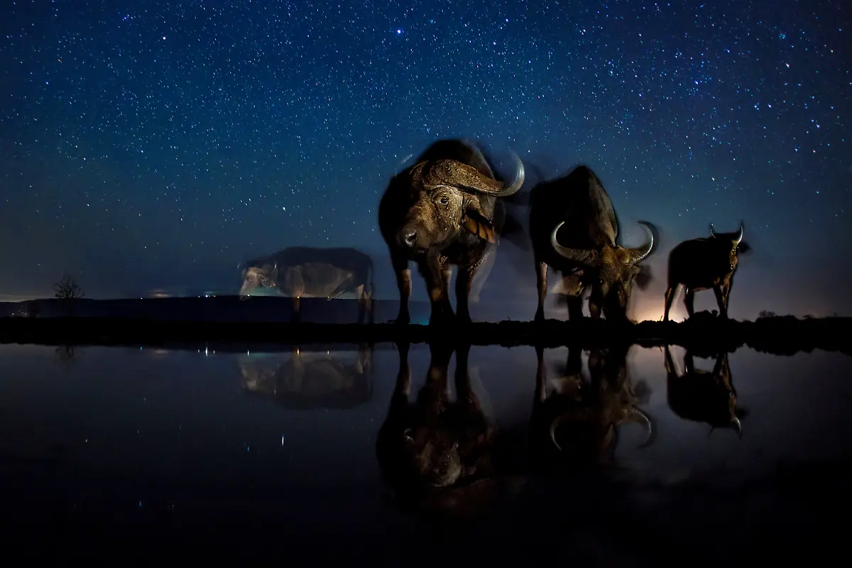 07f37d526d07bf5026dd48c4dd3a12e8