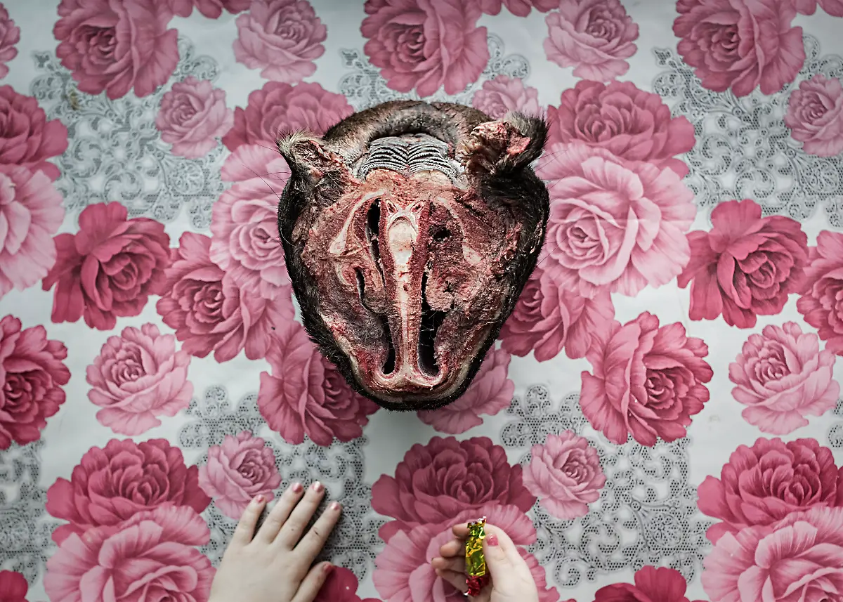 ab73483ab6e8bd7f864fe3bd544a89a6