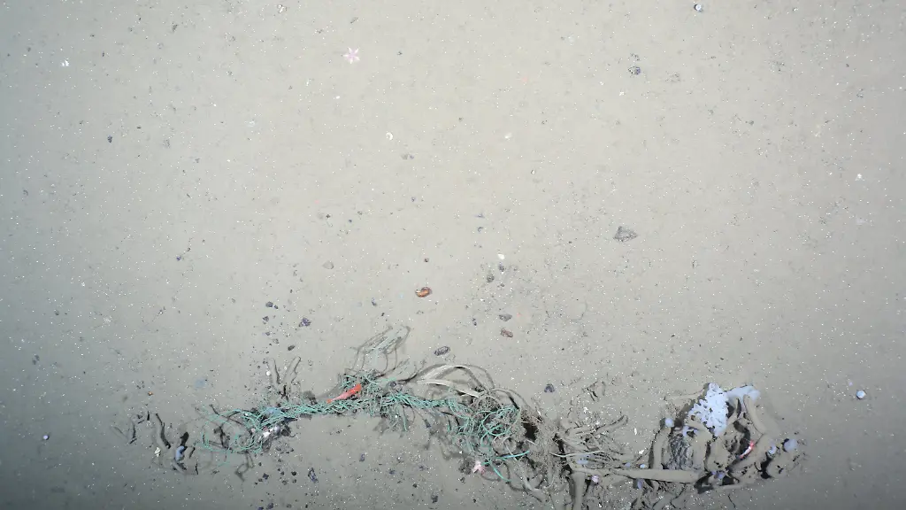 4e74aa208741c6383f3dccb4903f4cbd