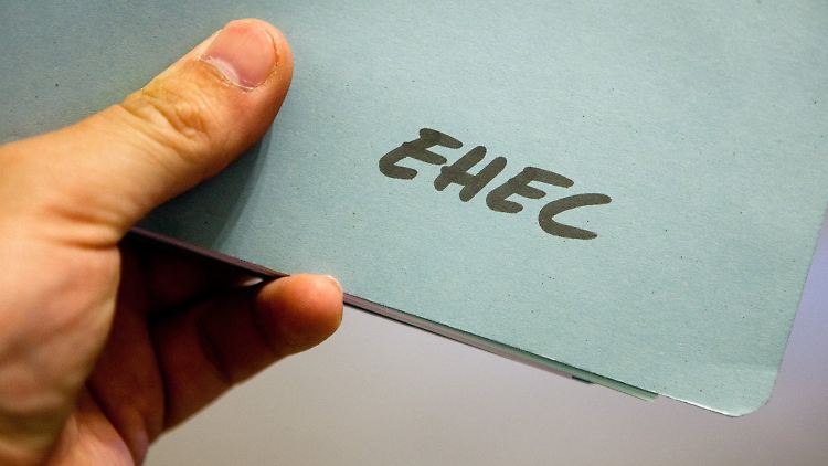 Mappe aus dem sächsischen Sozialministerium mit Verhaltensmaßnahmen gegen eine "EHEC"-Infektion.