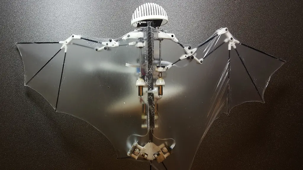 Nur-in-Zusammenhang-mit-der-Berichterstattung