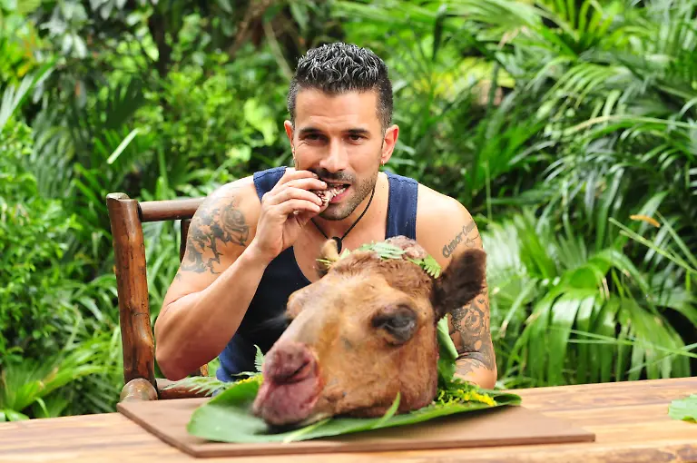 Kein-Kamel-ist-vor-dem-neuen-Ko-nig-sicher