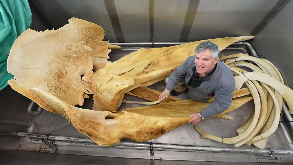 b34b1ddc9281521c6a0898310a3c3aa7