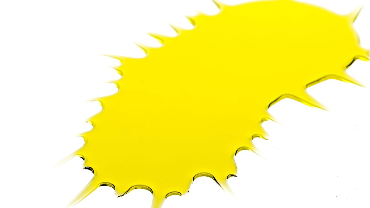 Nur-vier-sind-gut-8-von-25-Oliven-len-sind-mangelhaft-