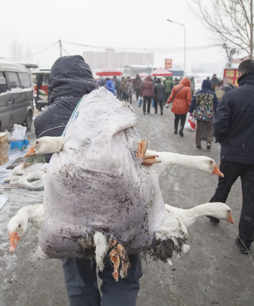 49bf6bb12dd3265c60fab4f8db10e858