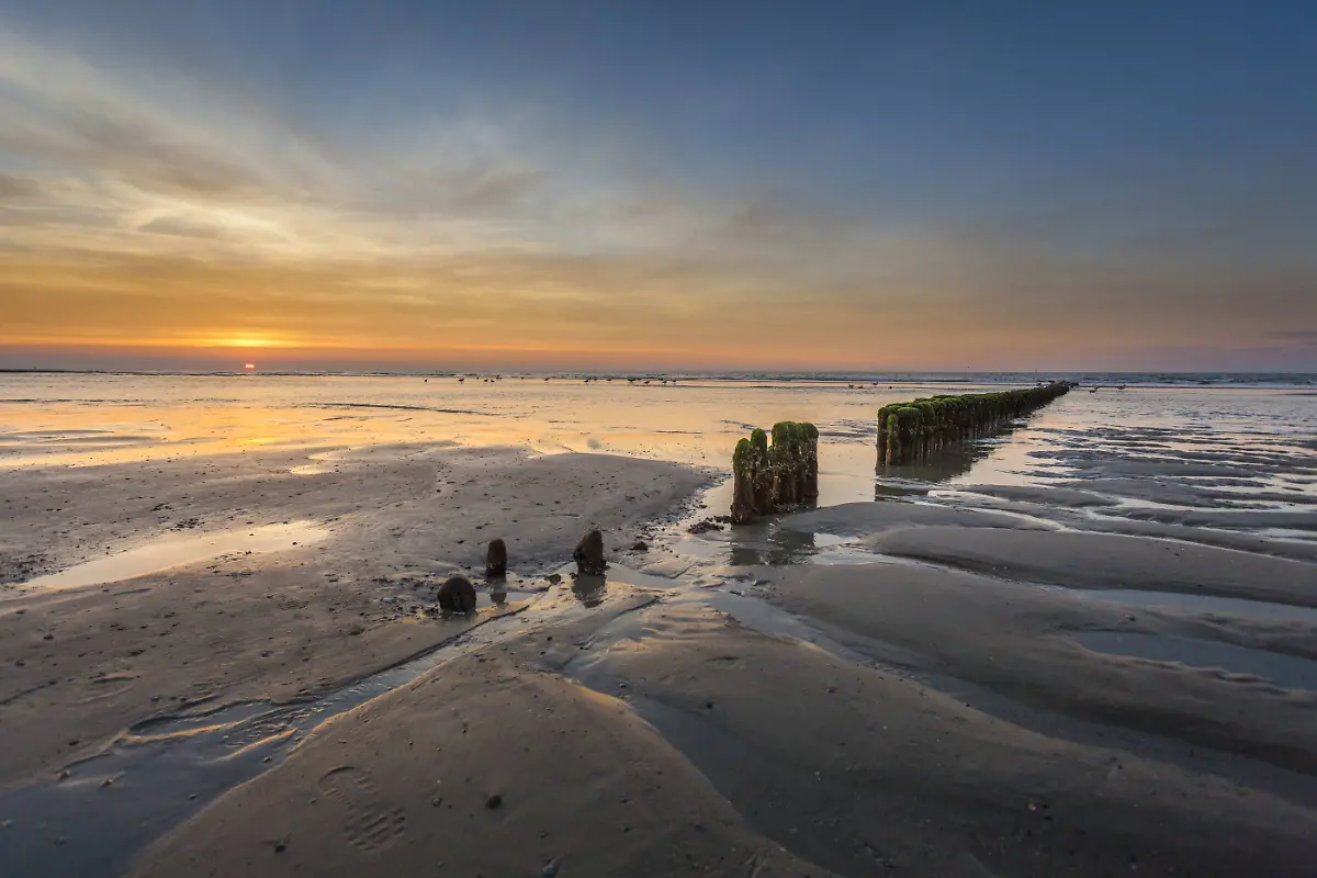 wattenmeer3