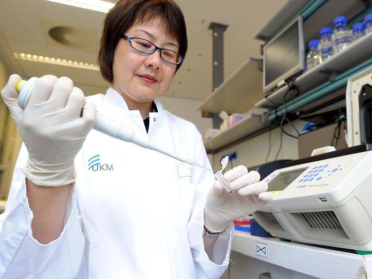 Wenlan Zhang vom Institut für Hygiene der Universitätsklinik in Münster bestückt ein Realtime PCR-Gerät für einen molekular-biologischen Schnelltest für den Nachweis von EHEC-Bakterien.
