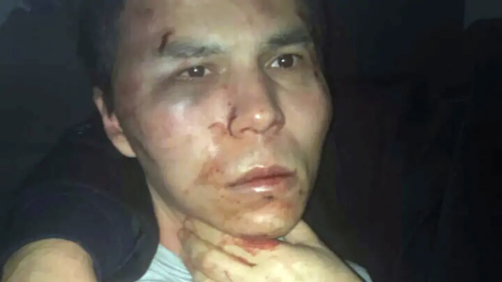 0ebdafc0c5c70736d96a89d65af8f006