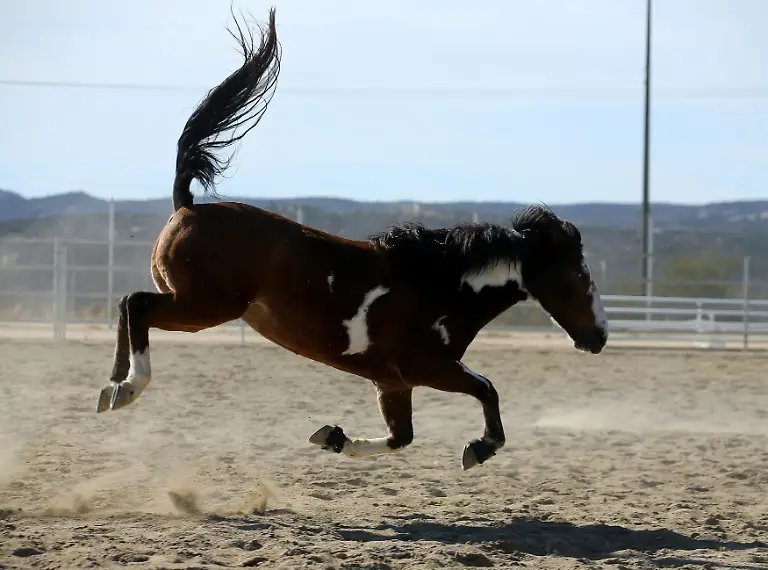 edc7b9d785941123e58df81304d78727