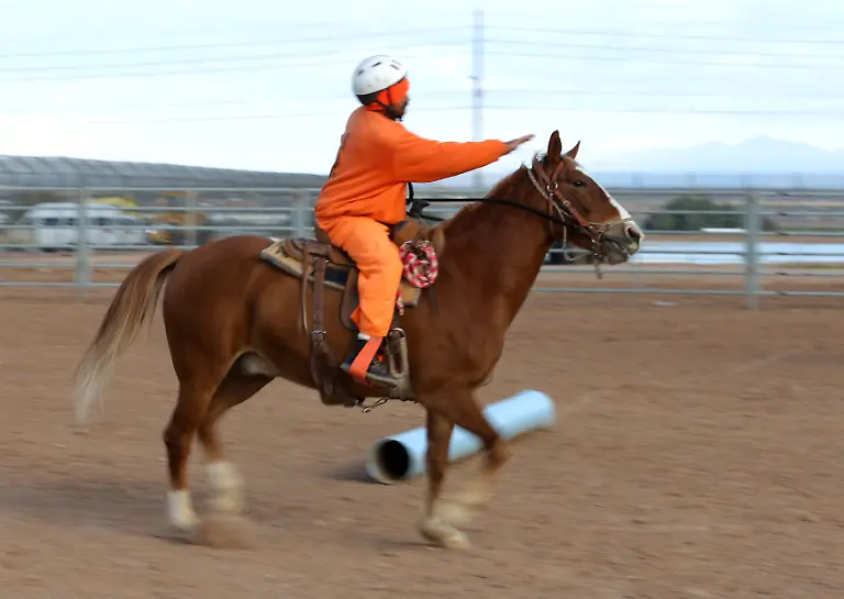 98c40ac58d014af95cc8cf56c4a808fa