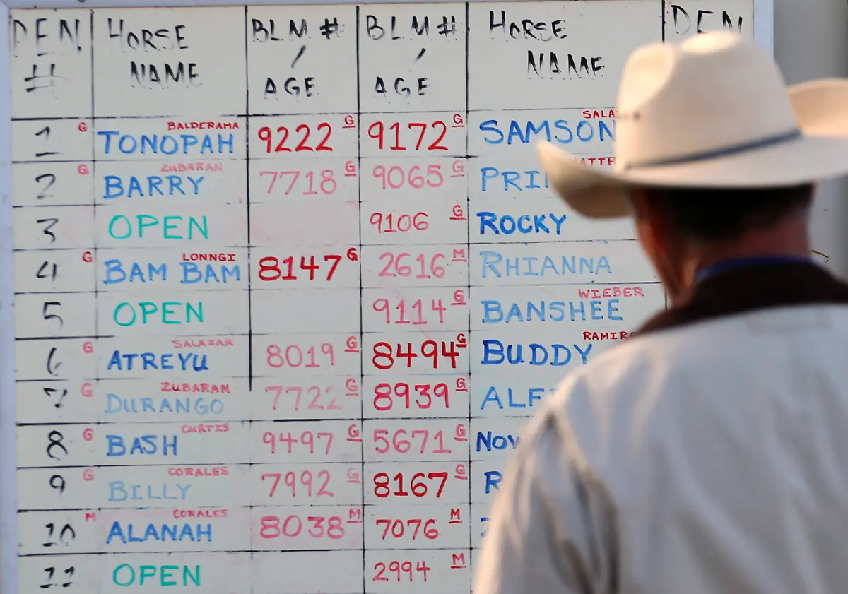 50104c2fe51237fe4cf096a30b8eeac4