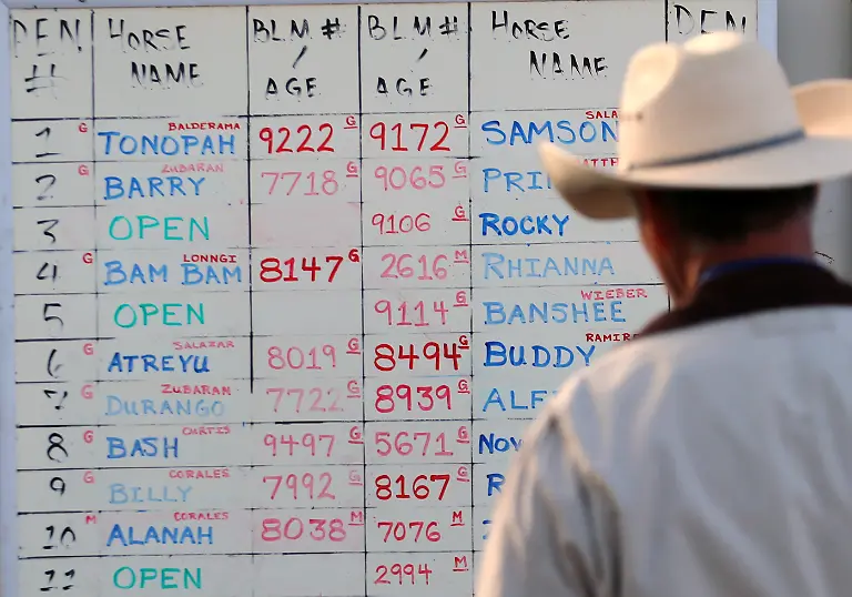 50104c2fe51237fe4cf096a30b8eeac4