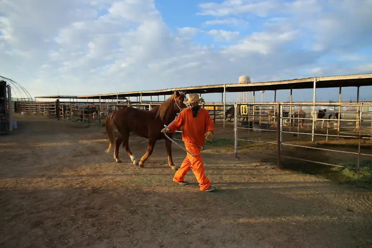 b617ab8c35f2d7692afd4d30d5d59953