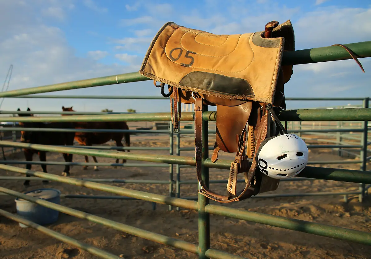 d92946fbb252f234a9fb98590d080d8c