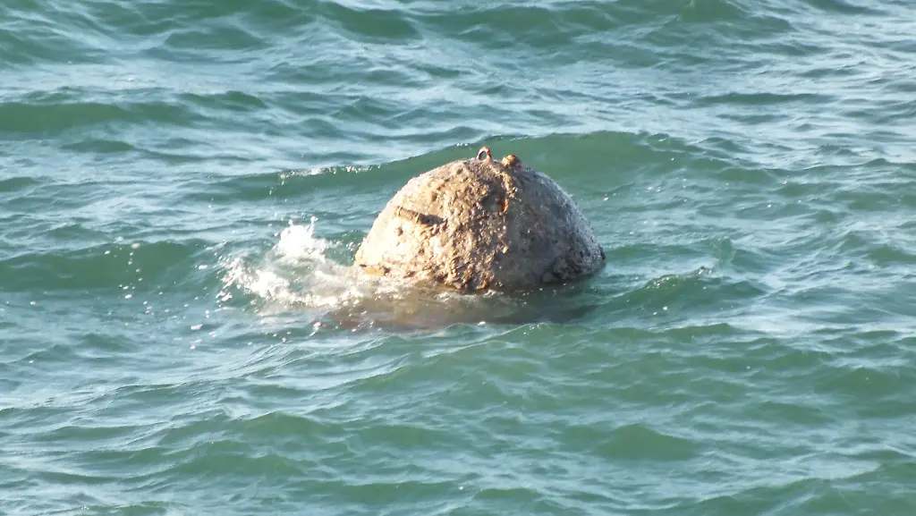 b9576fa732bfb19ff8014914c39f3aa3