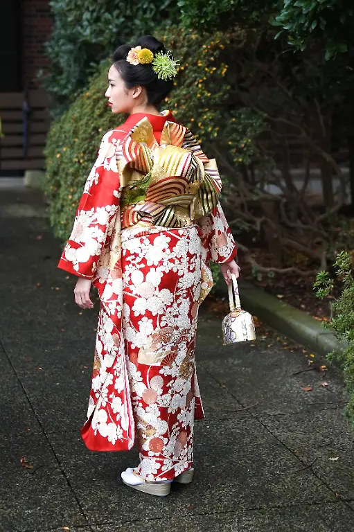 511b5cbac1485edc9712434bd81926c7