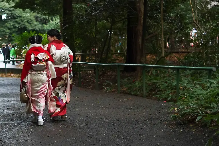 6e1d98b9231aed639268209141c0e3d6