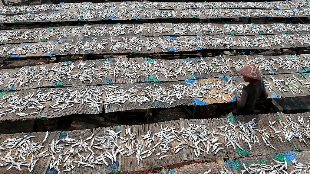 b3b85ff3a0156ceafae9cabb741ee3d5