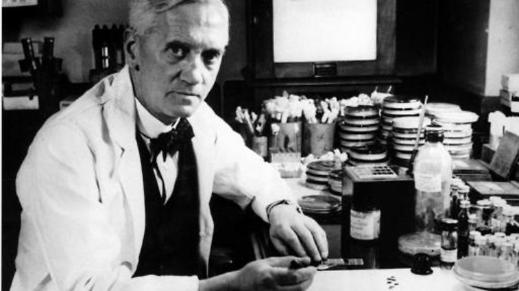 Alexander Fleming. 1945 erhielt er für die Entdeckung des Penicillins den Nobelpreis. Dabei hielt er seine Forschung zunächst für missglückt.