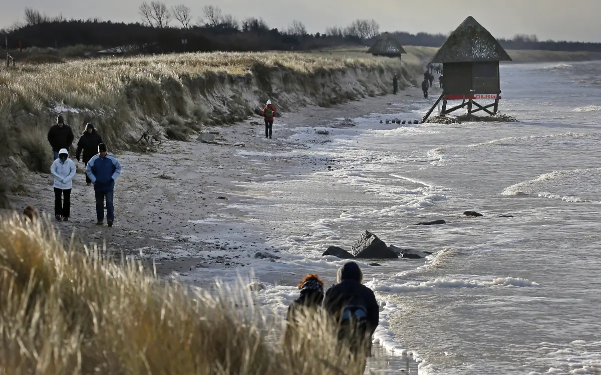 8bc0c30b9add0498a40815a2815b08d8