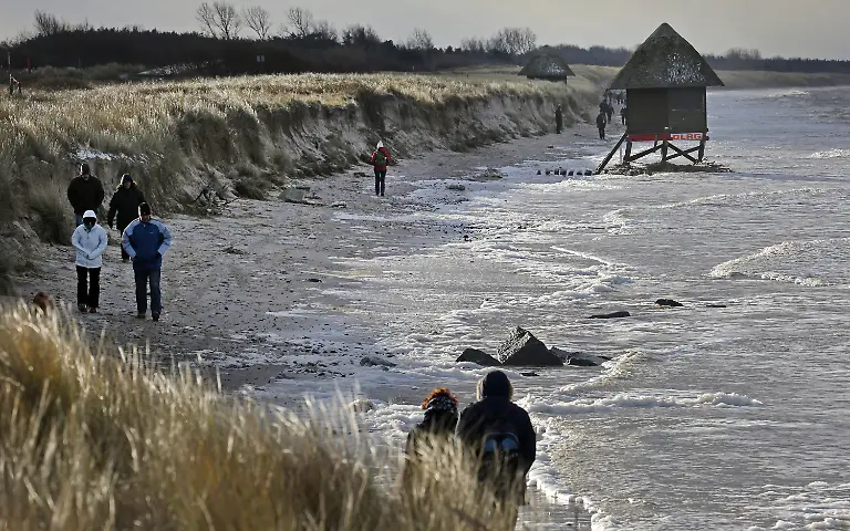 8bc0c30b9add0498a40815a2815b08d8