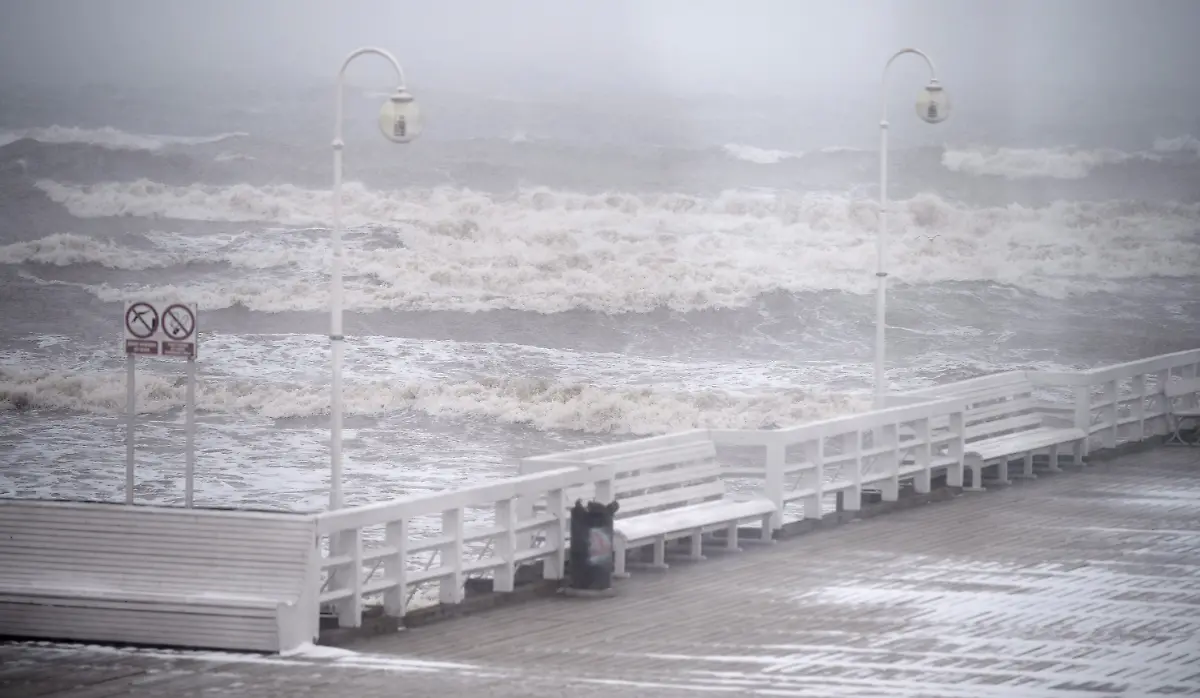 41a19f351b652bbe977fd397f1ca1f22