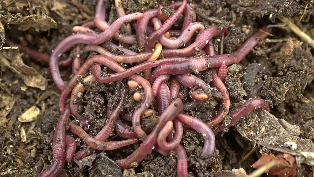 55ab59a1e2592f196ff40864b8b90566