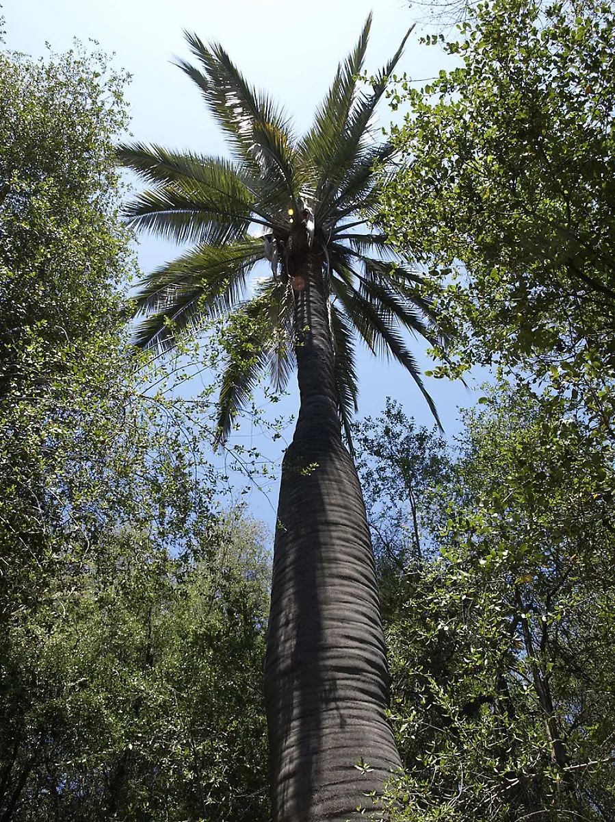 scott-zona-CC-BY-2-0