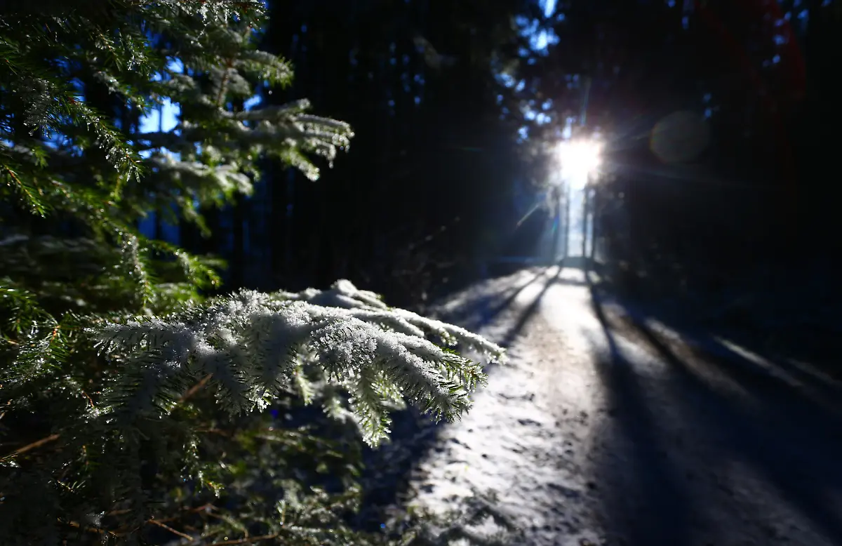 78d9ce80b1e5a41f07b0b059692664be